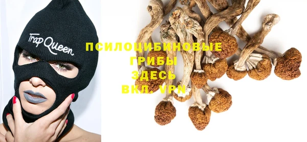 a pvp Алзамай