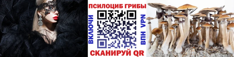 ссылка на мегу вход  Алексин  Псилоцибиновые грибы мухоморы 
